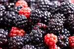 Blackberry