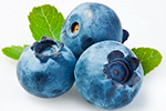 Blueberry